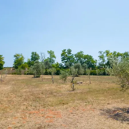 Tenuta Arbanoa * 加利波利